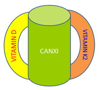 VITAMIN K2 VÀ CHIỀU CAO