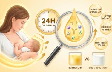 Sữa non 24 giờ có tác dụng gì cho trẻ? Sữa non 24h nào tốt nhất?