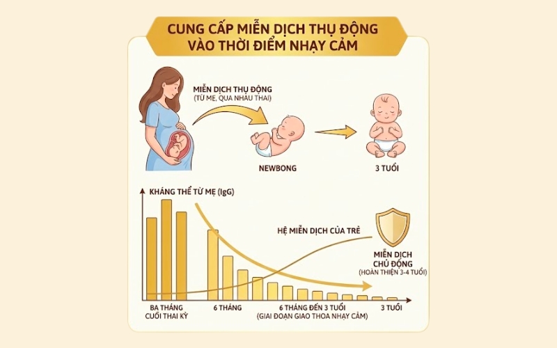 sữa non 24h có tác dụng gì cho trẻ