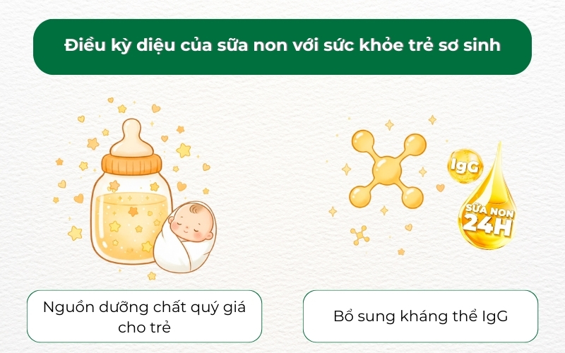 Sữa non giàu dưỡng chất và kháng thể IgG, giúp trẻ sơ sinh tăng cường miễn dịch, phát triển trí não và khỏe mạnh từ những ngày đầu đời
