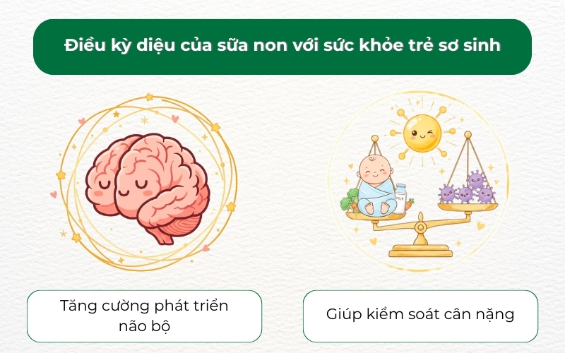 Sữa non giúp trẻ phát triển não bộ và duy trì cân nặng khỏe mạnh từ những ngày đầu đời