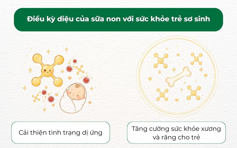 Kháng thể IgA, IgG và Lactoferrin trong sữa non hỗ trợ trẻ chống viêm, hạn chế sổ mũi, ho và viêm da cơ địa.