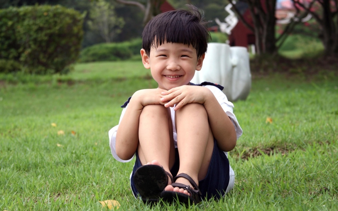 Tăng cường “lá chắn” miễn dịch nhờ sữa non và dưỡng chất chủ lực