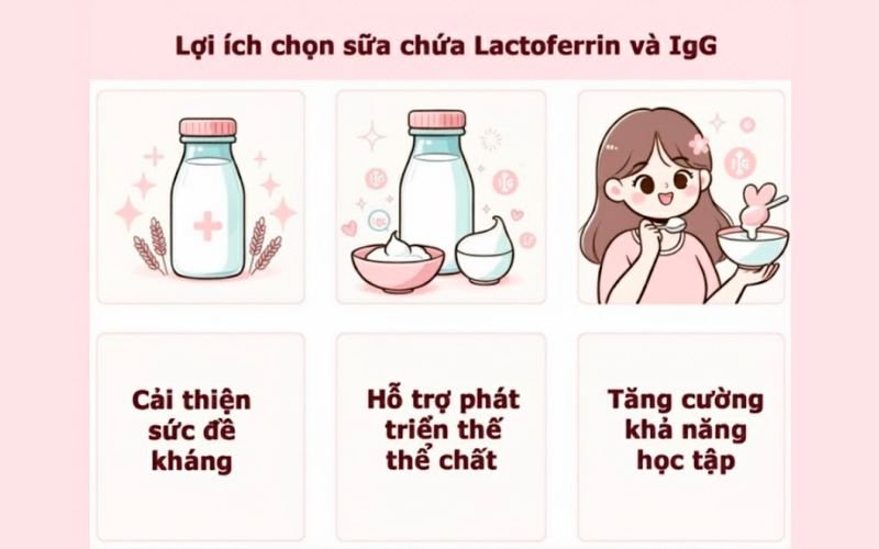 Sữa chứa Lactoferrin và IgG mang lại lợi ích vượt trội trong việc tăng cường hệ miễn dịch, bảo vệ trẻ khỏi nhiễm trùng và hỗ trợ tiêu hóa khỏe mạnh.