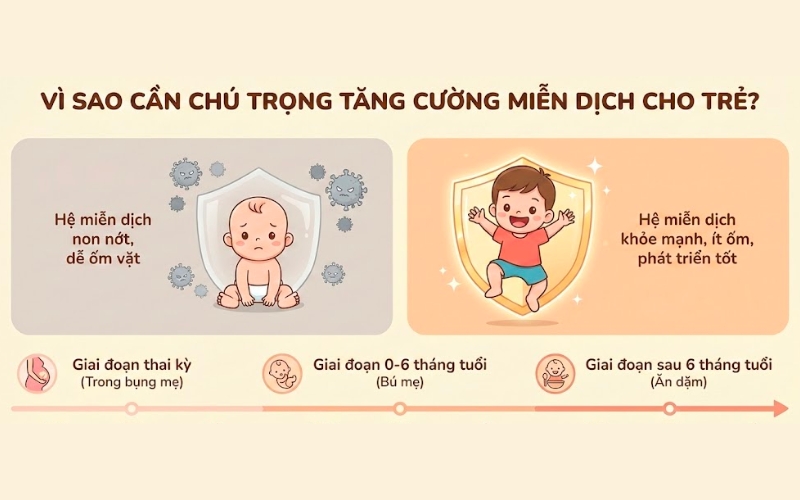 Vì sao cần chú trọng tăng cường miễn dịch cho trẻ?