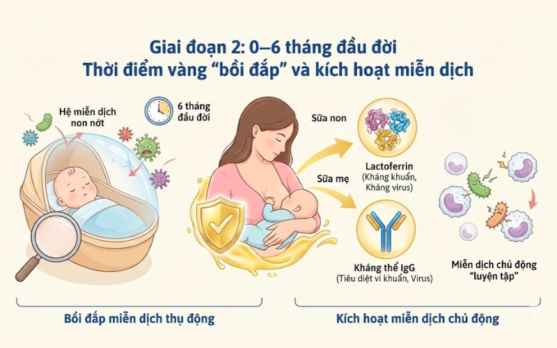 Giai đoạn 2 tăng miễn dịch cho trẻ
