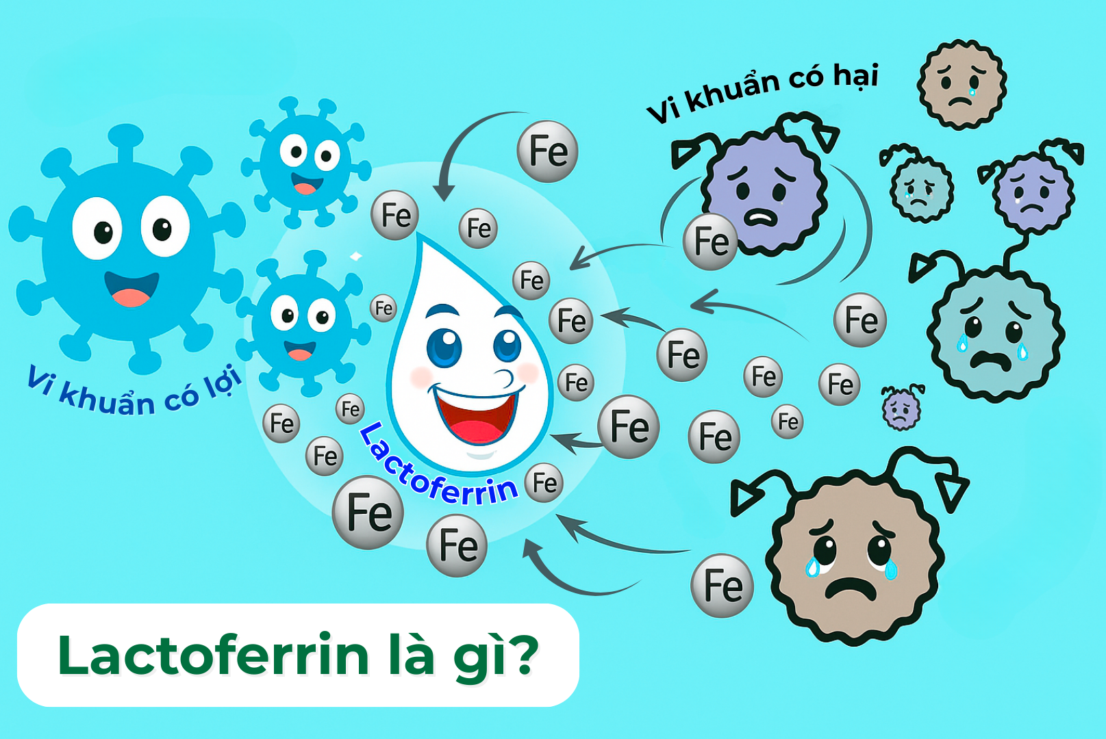 lactoferrin-la-gi-thumbnail Lactoferrin là gì?