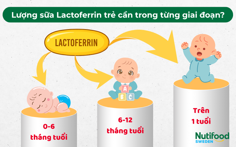 Lượng sữa non Lactoferrin cho trẻ sơ sinh từng giai đoạn