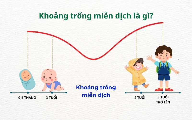 Khoảng trống miễn dịch là giai đoạn từ khoảng 6 đến 36 tháng tuổi.