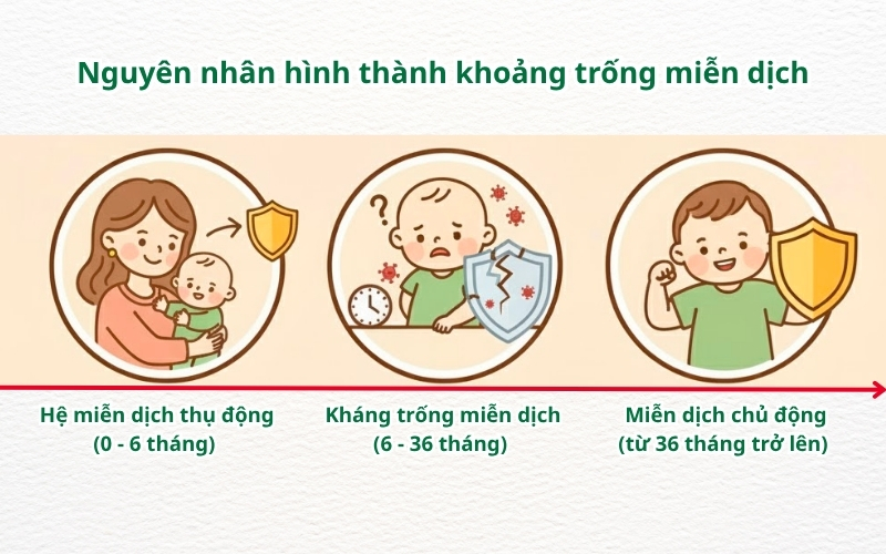 Nguyên nhân hình thành khoảng trống miễn dịch là do mất cân bằng giữa kháng thể thụ động từ mẹ và hệ miễn dịch chủ động của trẻ chưa hoàn thiện.