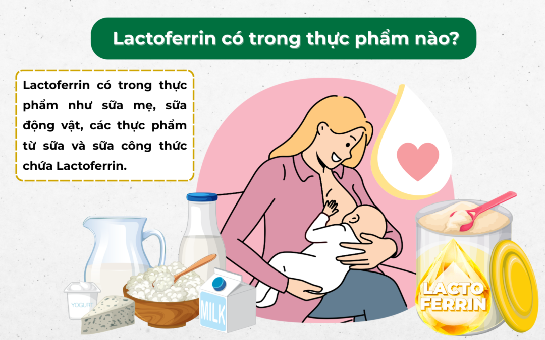 Lactoferrin có trong thực phẩm nào? Nguồn bổ sung Lactoferrin