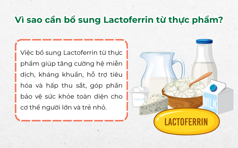 Lactoferrin có trong thực phẩm nào?