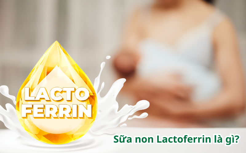 sữa non lactoferrin có tốt không