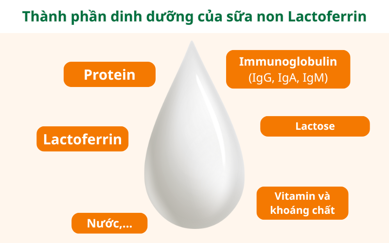 Sữa non Lactoferrin cung cấp nền tảng dinh dưỡng, tạo nên hàng rào miễn dịch tự nhiên, hỗ trợ trẻ tăng đề kháng.