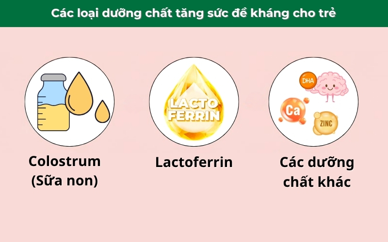 Bổ sung các dưỡng chất tăng sức đề kháng cho trẻ hỗ trợ hệ miễn dịch khỏe mạnh, phát triển toàn diện và ít ốm vặt hơn.