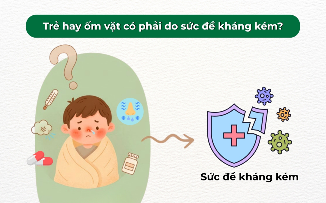 Trẻ hay ốm vặt có phải do sức đề kháng kém? Nguyên nhân, dấu hiệu