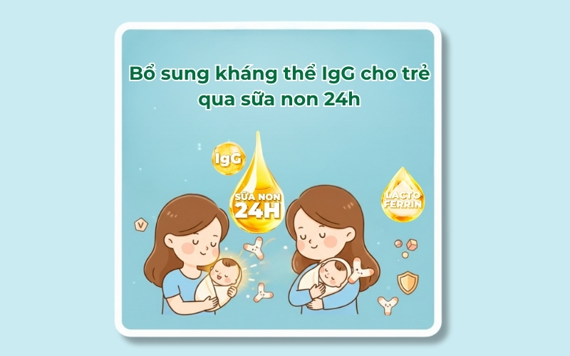 Bổ sung kháng thể IgG từ sữa non 24h giúp trẻ tăng cường miễn dịch và bảo vệ sức khỏe toàn diện ngay từ những ngày đầu đời.