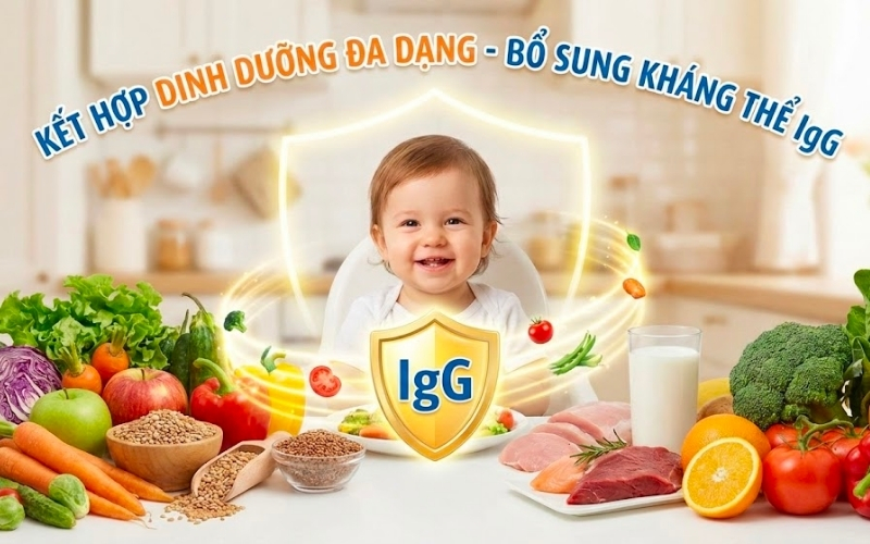 Kết hợp chế độ dinh dưỡng đa dạng với kháng thể IgG giúp trẻ phát triển toàn diện, tăng sức đề kháng và hấp thu dưỡng chất tối ưu.