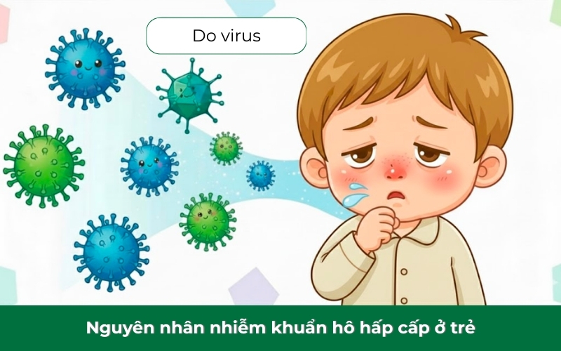 Nguyên nhân nhiễm khuẩn hô hấp cấp ở trẻ phổ biến là nhiễm virus, vi khuẩn và sức đề kháng yếu
