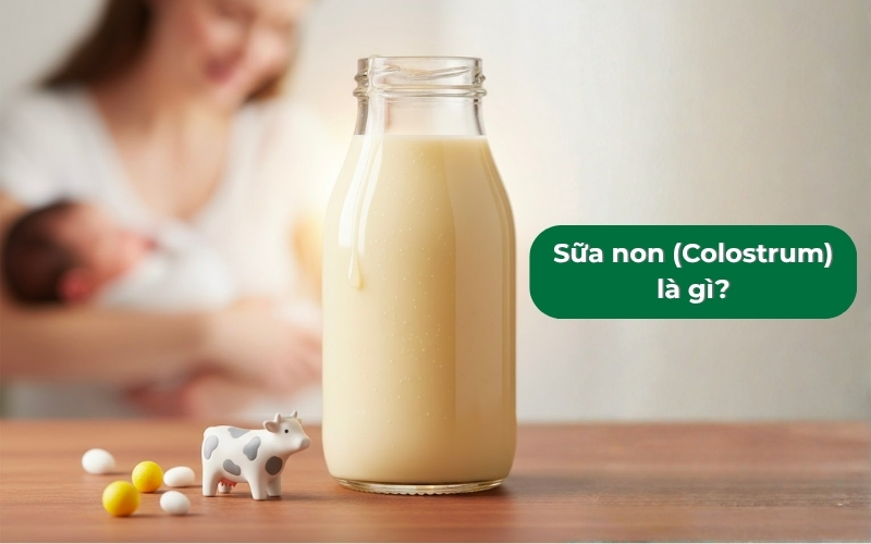 Sữa non Colostrum là nguồn dinh dưỡng quan trọng cho trẻ sơ sinh và trẻ nhỏ.