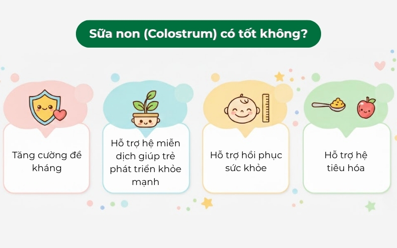 Việc bổ sung sữa non Colostrum vào chế độ ăn hàng ngày là bước quan trọng để tăng cường sức khỏe.