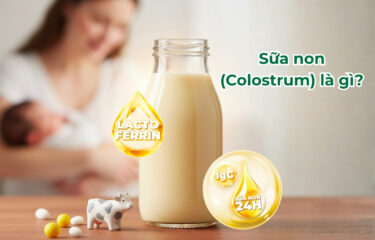 Sữa Colostrum là gì? Sữa non Colostrum có tốt không? Nên mua loại nào?