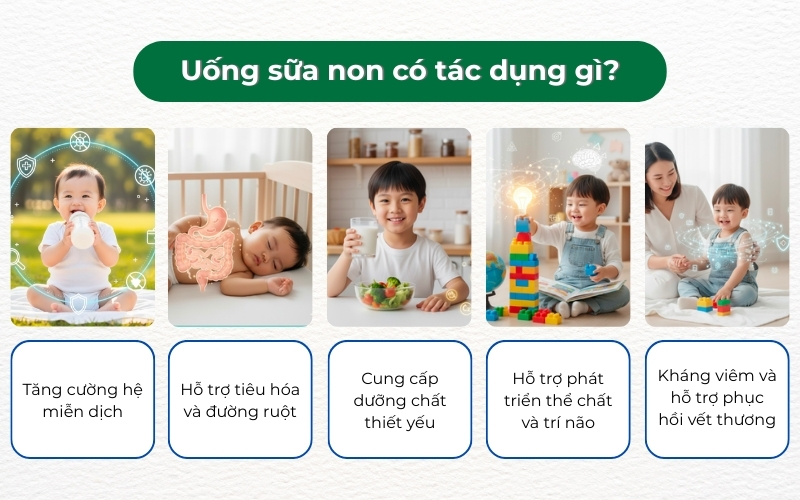 Tác dụng của sữa non là bổ sung kháng thể tự nhiên, giúp bé tăng đề kháng hiệu quả.