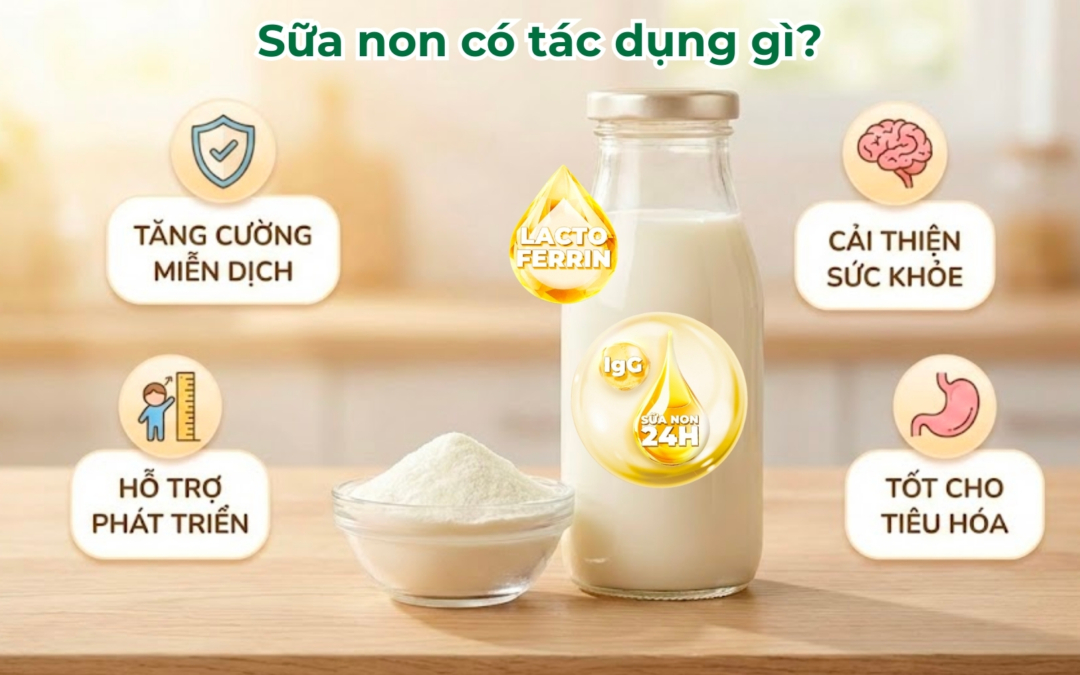 Sữa non có tác dụng gì? Lợi ích của sữa non cho trẻ sơ sinh và trẻ nhỏ