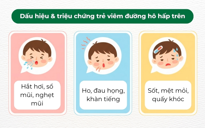 Nhận biết sớm các dấu hiệu viêm đường hô hấp trên giúp cha mẹ xử lý kịp thời, ngăn ngừa biến chứng và bảo vệ sức khỏe trẻ.